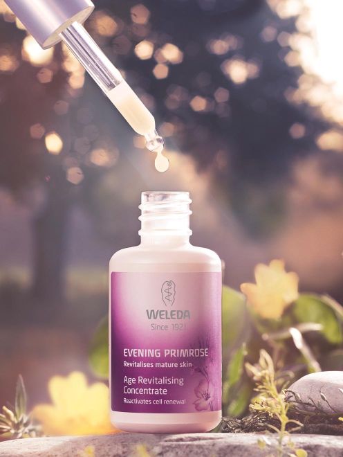 Image of Evening Primrose Concentrate