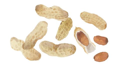 花生油