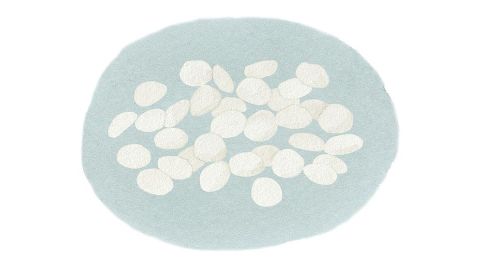 鯨蠟硬脂醇(棕櫚醇)