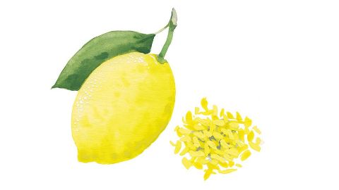 Lemon Juice