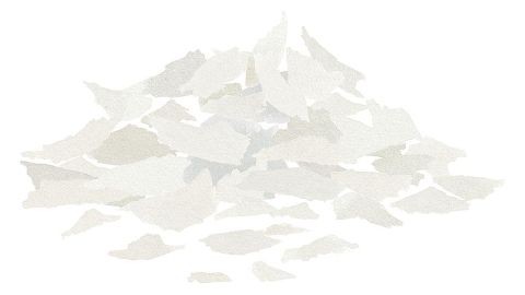 甘油辛酸酯