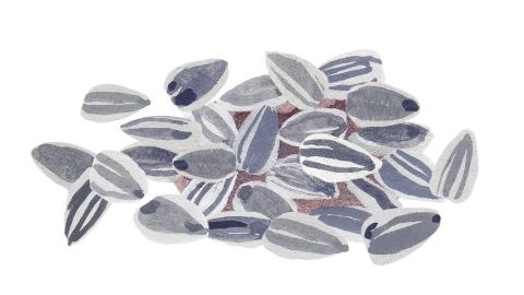 向日葵籽油