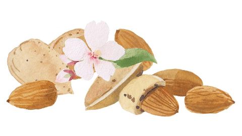 甜杏仁油